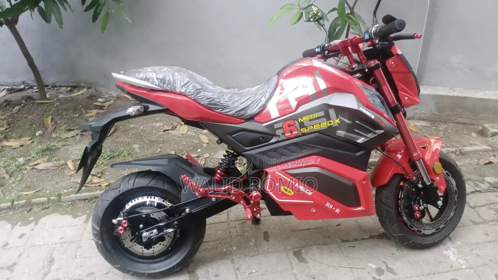 Sports E-Bike 2025