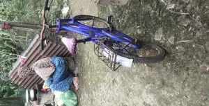 Bicycle For Sale