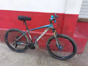 Aluminum Frame Cycle