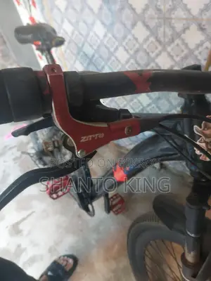 Bicycle for Sale
