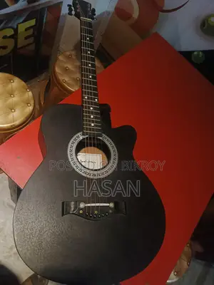 Guitar