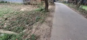 রাস্তা পাশে জায়গা কাগজ সম্পণ দেখে নিবেন
