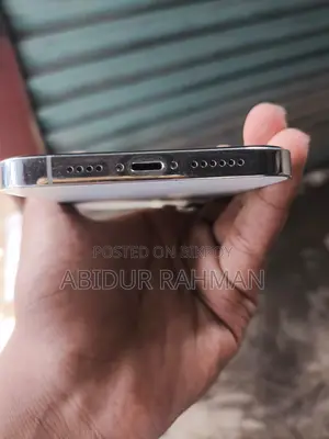 Apple iPhone 12 Pro Max (Used)