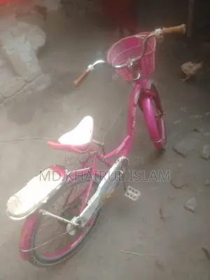 20-inch Ladies Bicycle