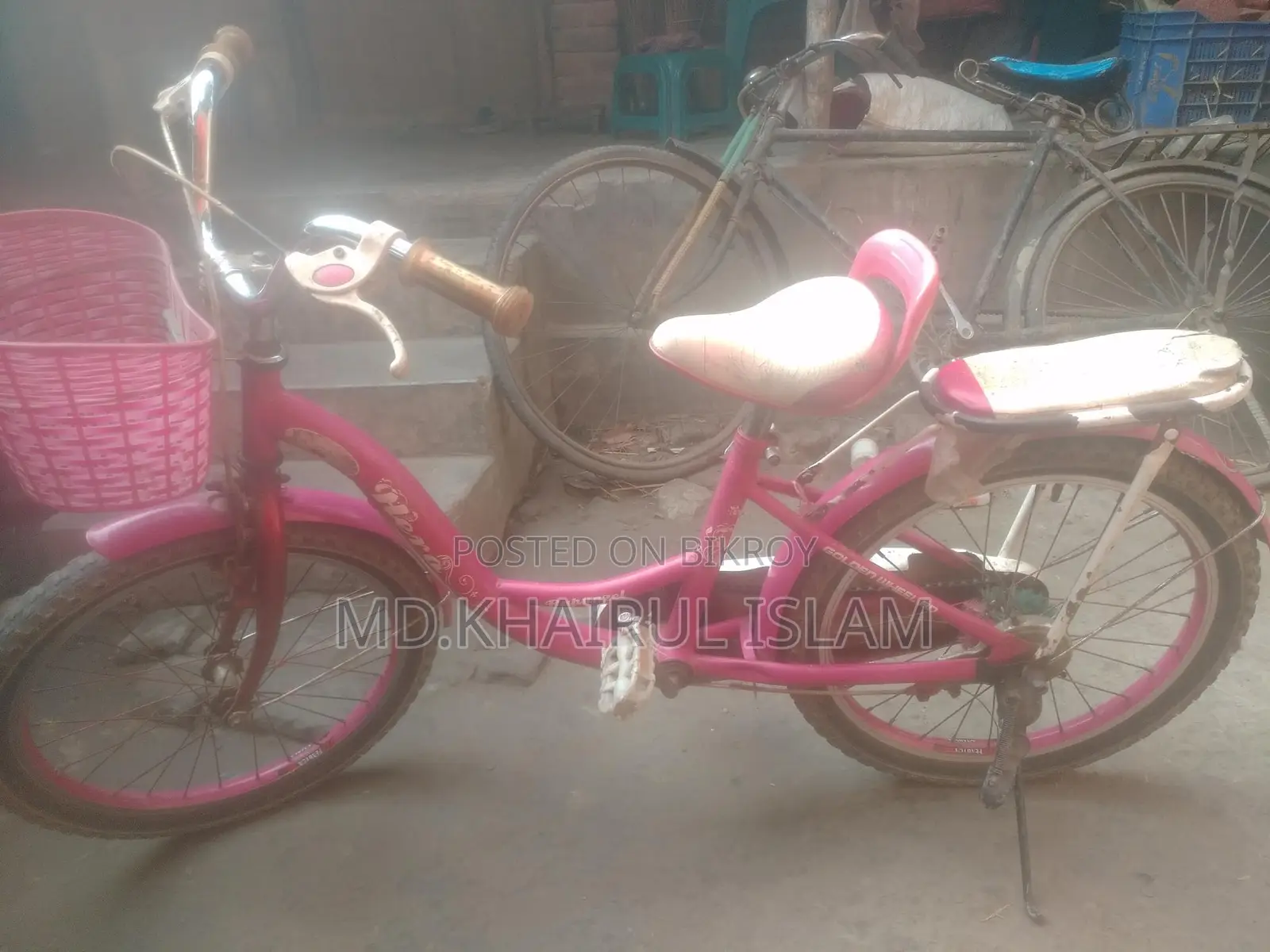 20-inch Ladies Bicycle