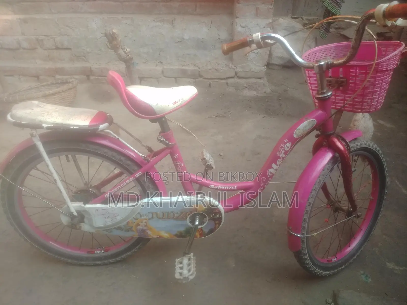 20-inch Ladies Bicycle