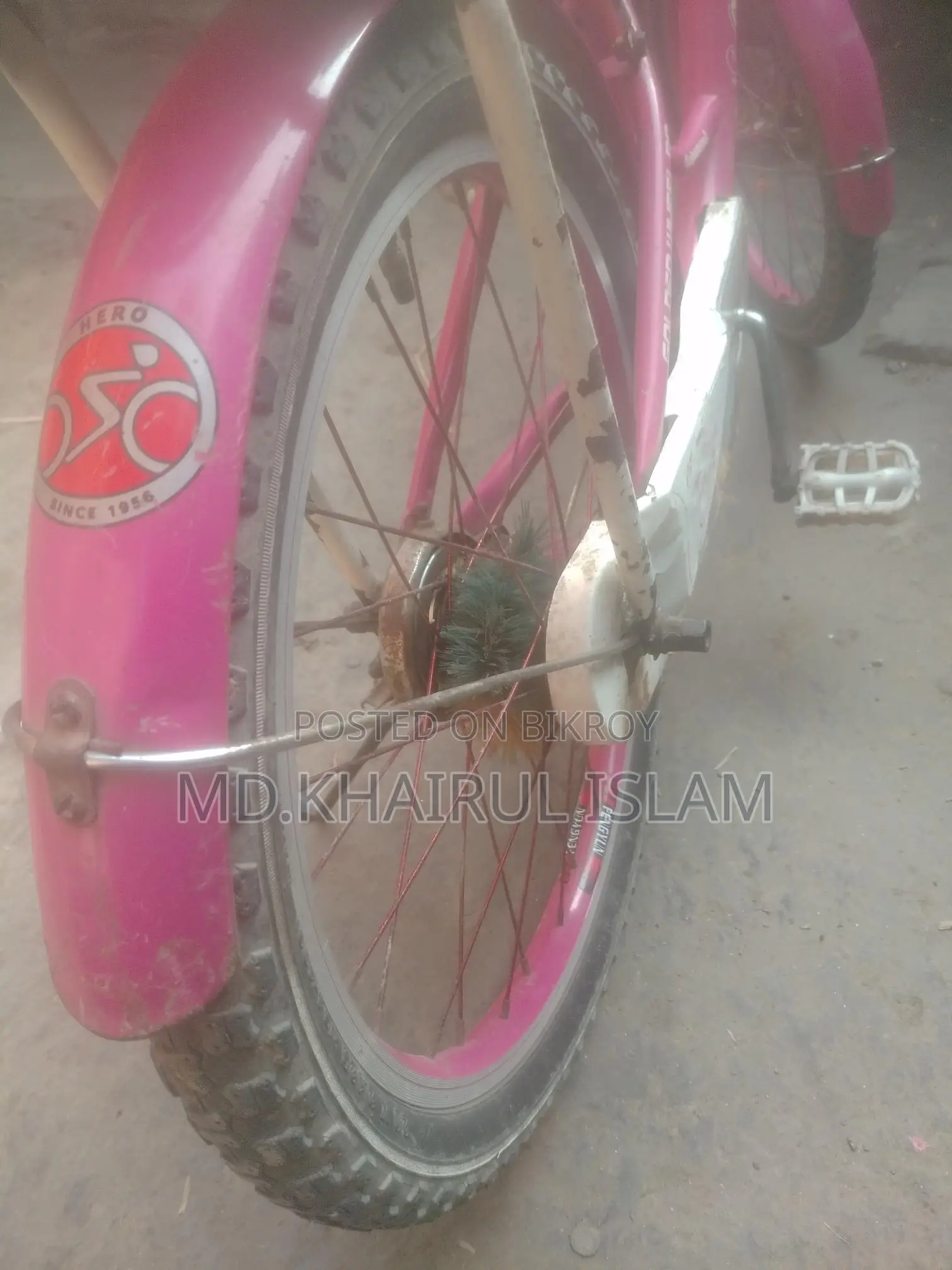 20-inch Ladies Bicycle