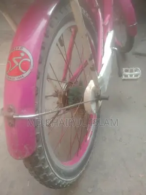 20-inch Ladies Bicycle