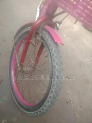20-inch Ladies Bicycle