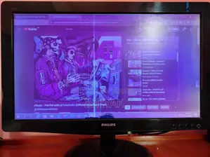 Philips 196v3L 19 LED