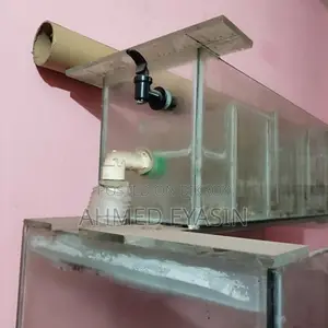 একুরিয়াম