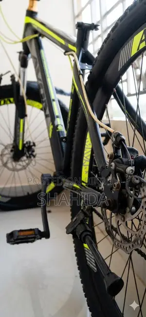 Selling an Avon Company Bicycle