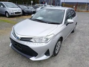 Toyota Axio EX HYBRID 2021 Silver
