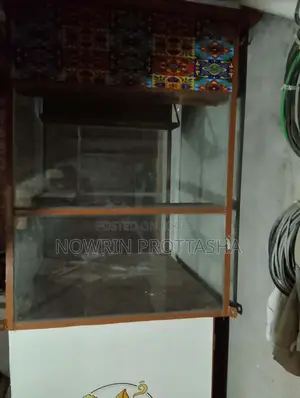 Food Cart (new Condition) ফুড কার্ট