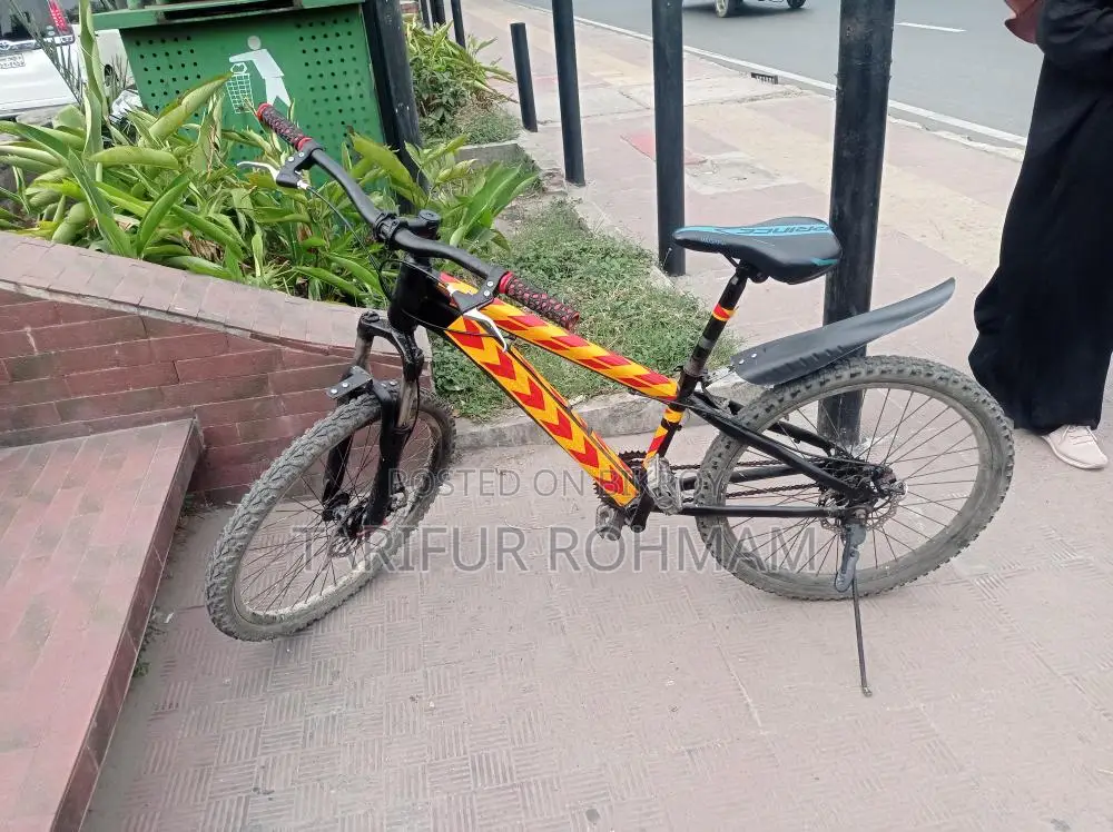 Cycle Birkri Hohe