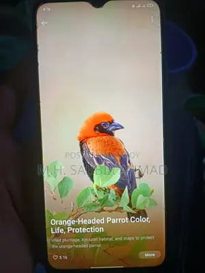 Realme C15 Qualcomm Edition Phone in Fresh Condition (Used)