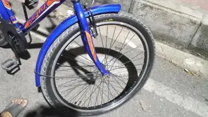 Express Bicycle for Sale