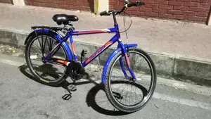 Express Bicycle for Sale