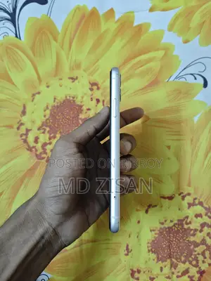 Apple iPhone 11 (Used)