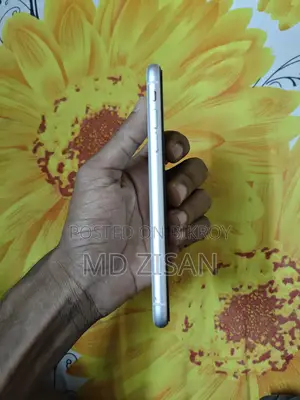 Apple iPhone 11 (Used)