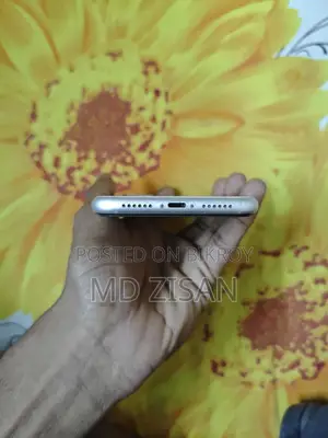 Apple iPhone 11 (Used)