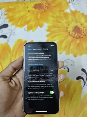 Apple iPhone 11 (Used)