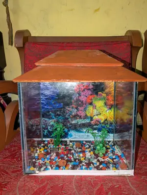 ভালো একুরিয়াম যত খুশি দেখে নিতে পারবেন