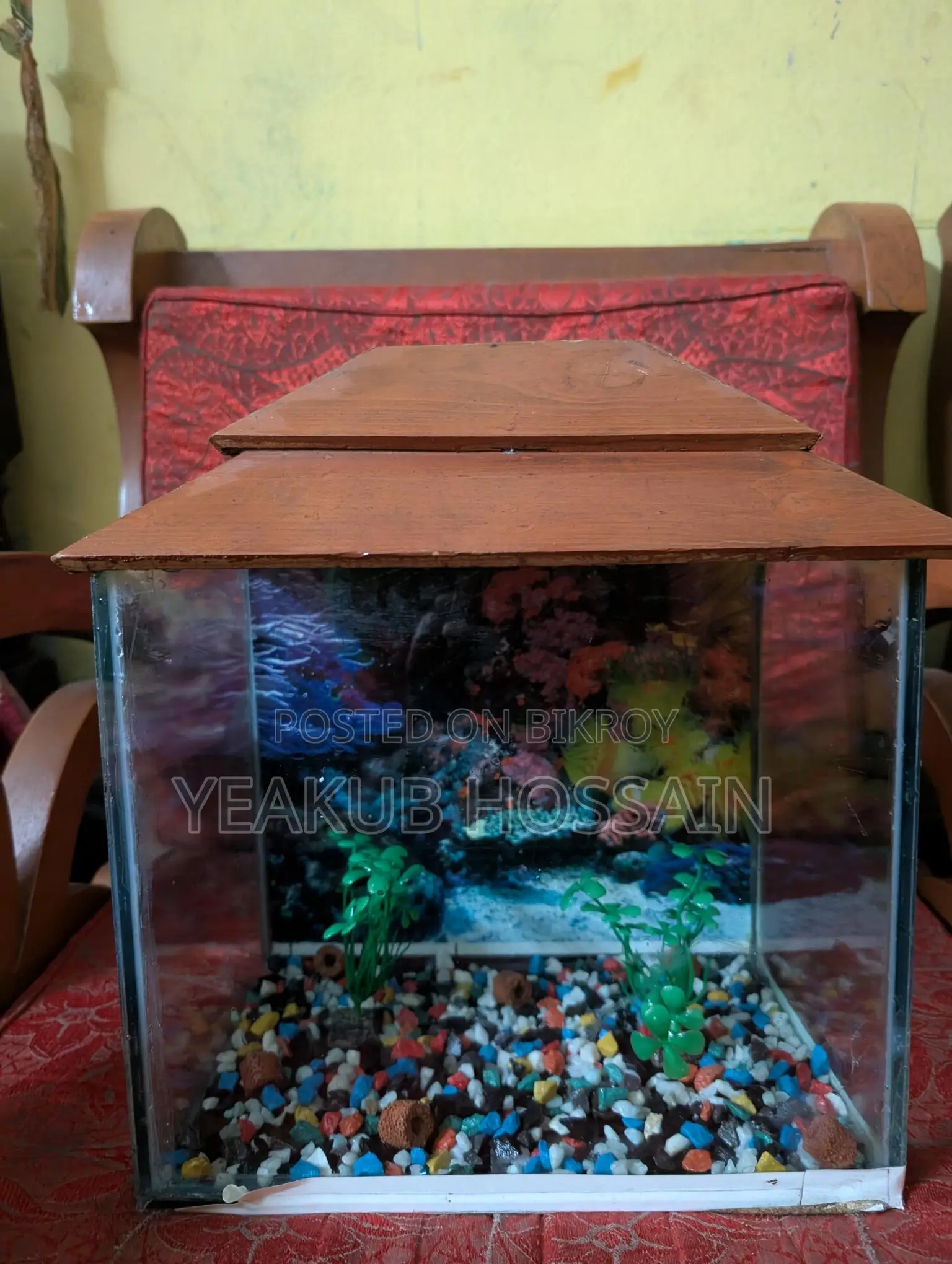 ভালো একুরিয়াম যত খুশি দেখে নিতে পারবেন