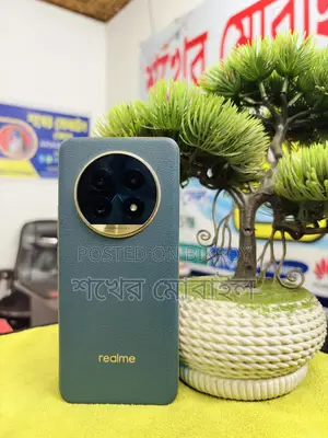 Realme 13 pro plus (Used)