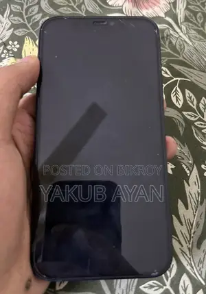 Apple iPhone 12 (Used)
