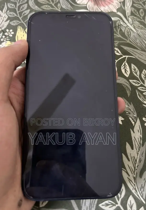 Apple iPhone 12 (Used)