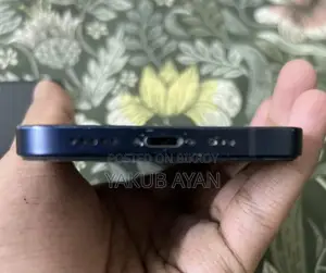 Apple iPhone 12 (Used)