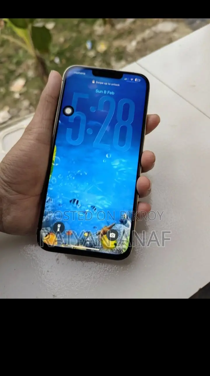 Apple iPhone 13 Pro Max 26.3 Display