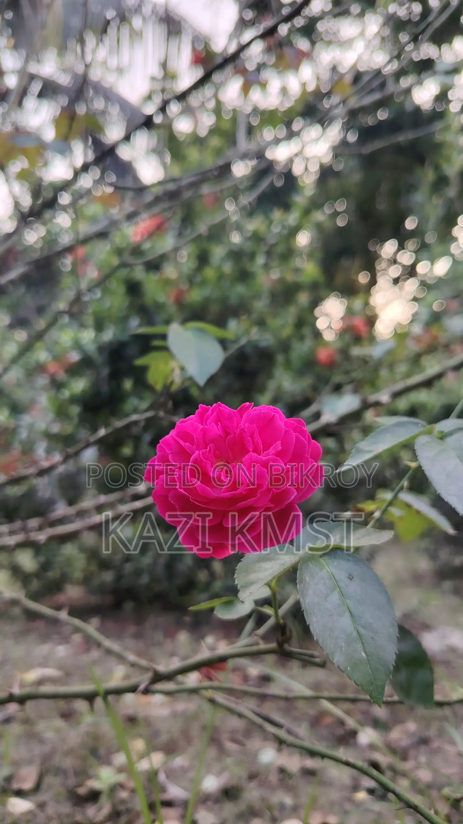 Honor X9C (Used)