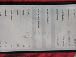 Apple iPhone 12 Pro Max (Used)