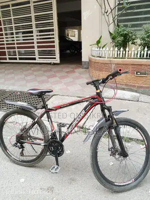 Progresser Taiwan AM-650 Bicycle