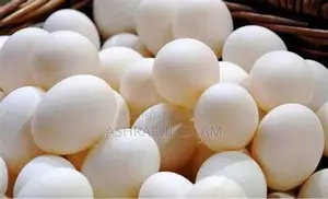 ১০০% দেশি মুরগীর ডিম