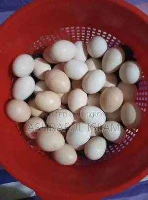 ১০০% দেশি মুরগীর ডিম