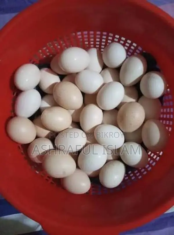 ১০০% দেশি মুরগীর ডিম