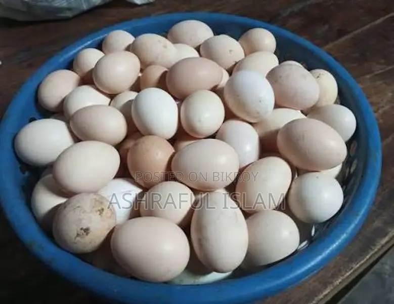 ১০০% দেশি মুরগীর ডিম