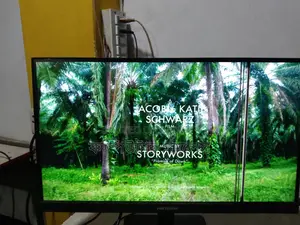 IPS Borderless Monitor 22inch