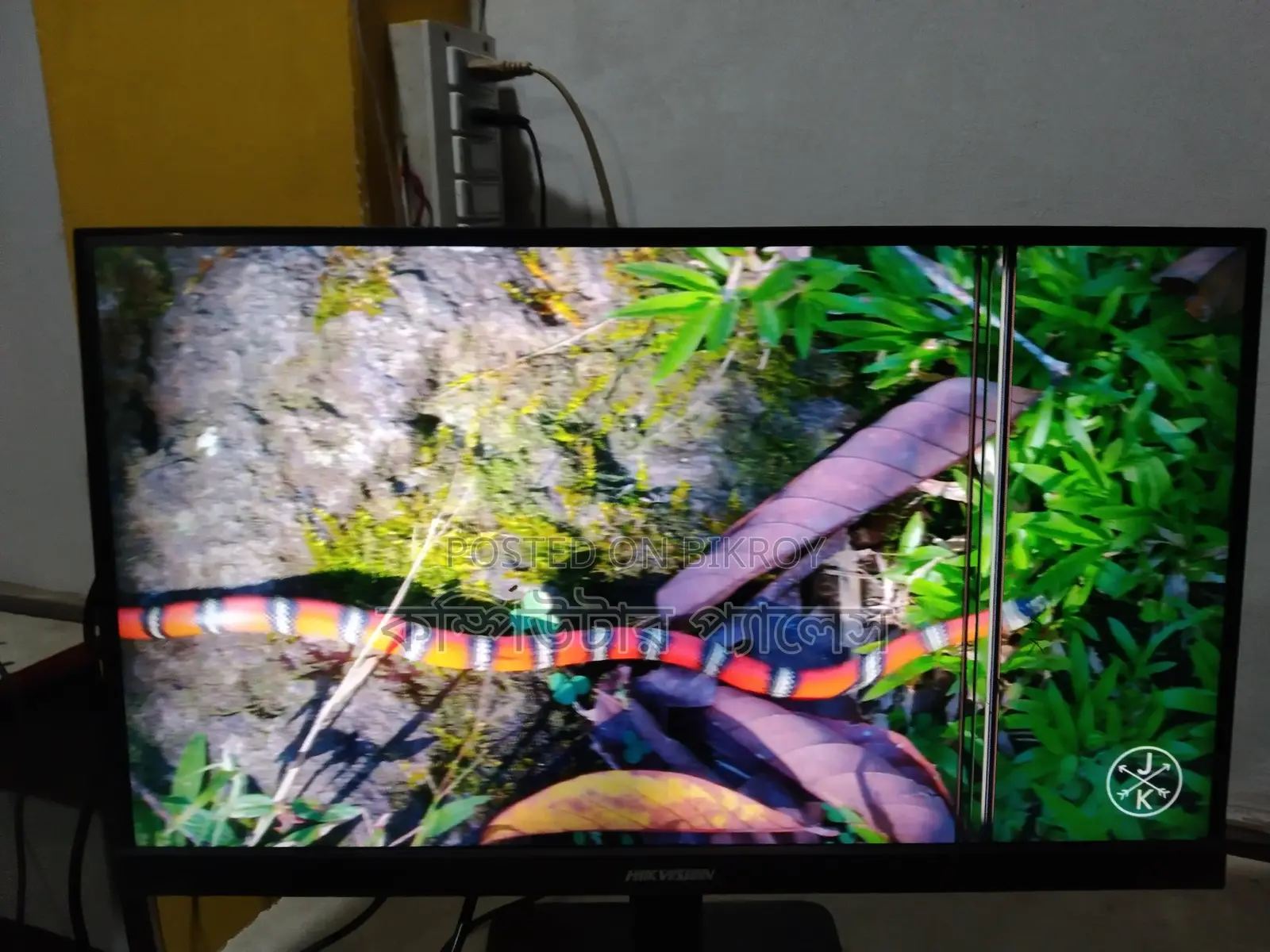 IPS Borderless Monitor 22inch