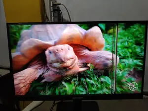 IPS Borderless Monitor 22inch