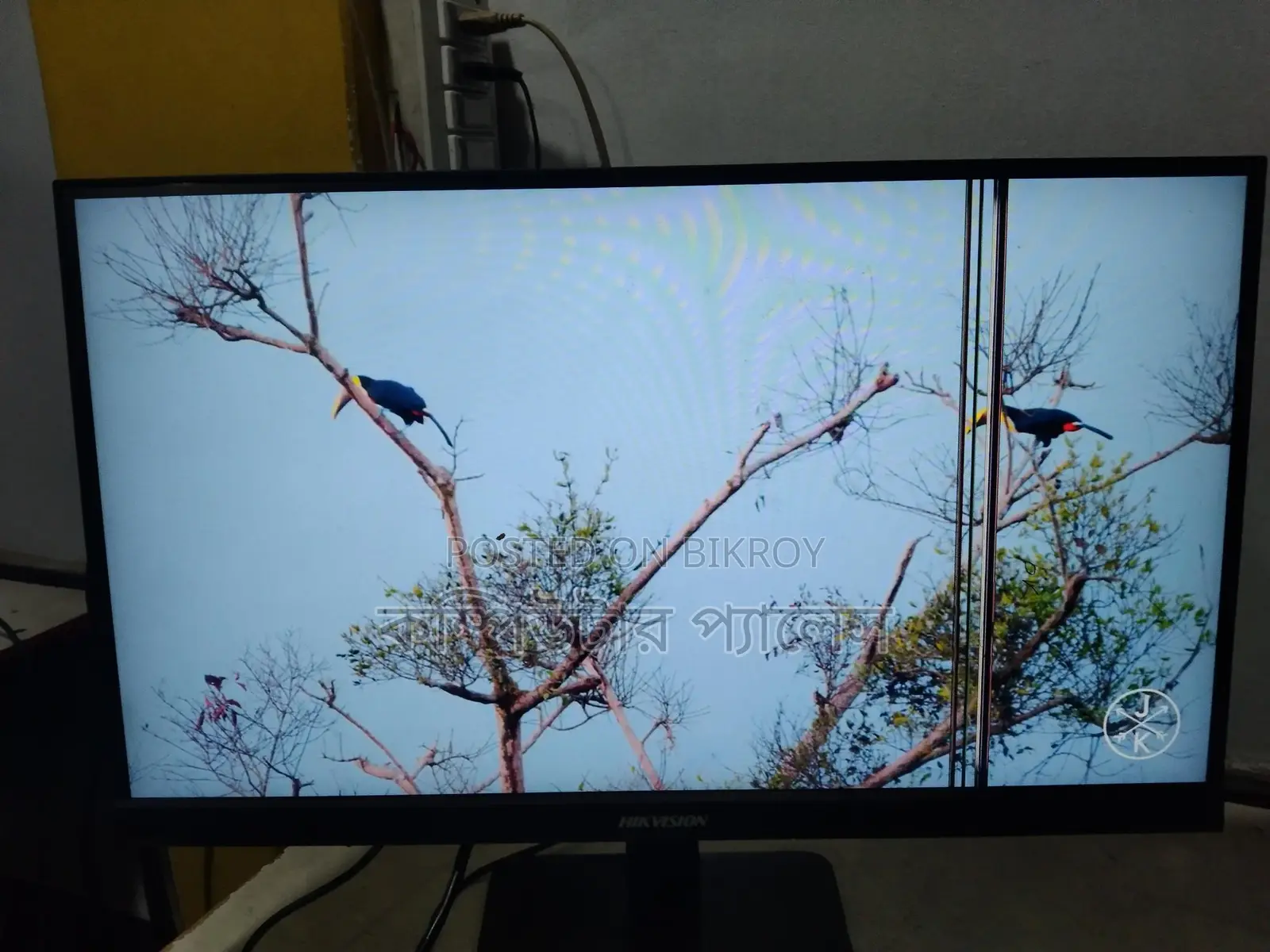 IPS Borderless Monitor 22inch