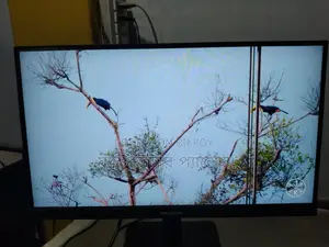 IPS Borderless Monitor 22inch