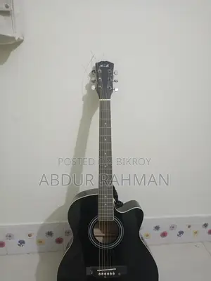 Axe 52c Acoustic Guitar for Sale