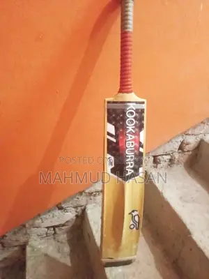 Ca Customised Bat.