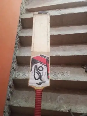 CA Customised Bat