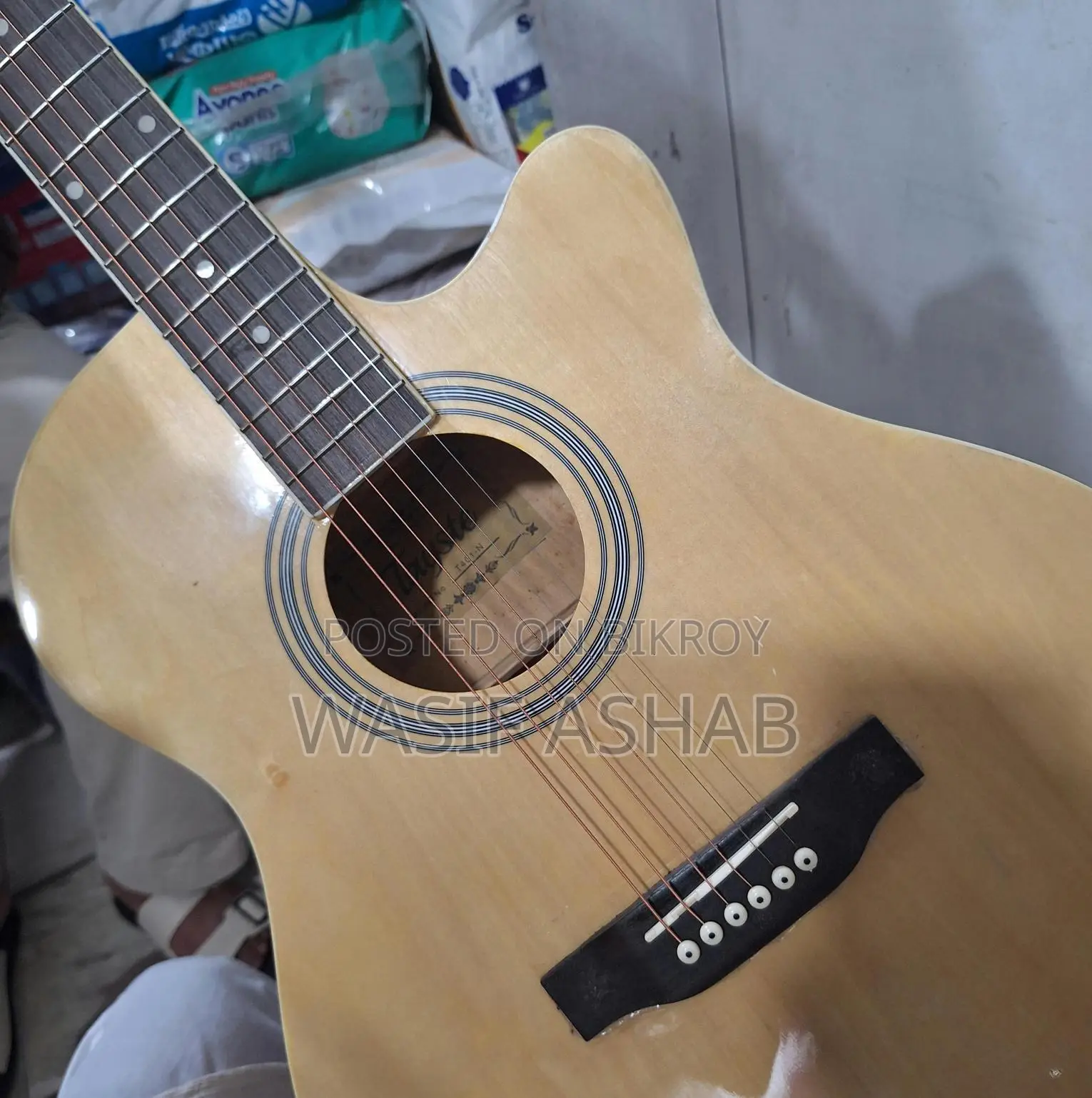 Guitar (Tayste T401-N)