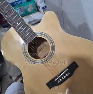 Guitar (Tayste T401-N)